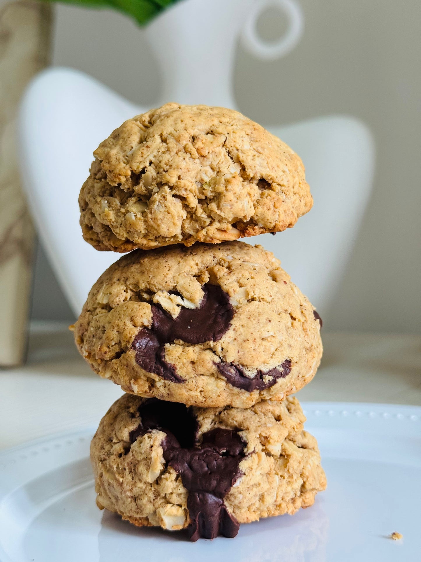 Chewy Protein Granola Cookies